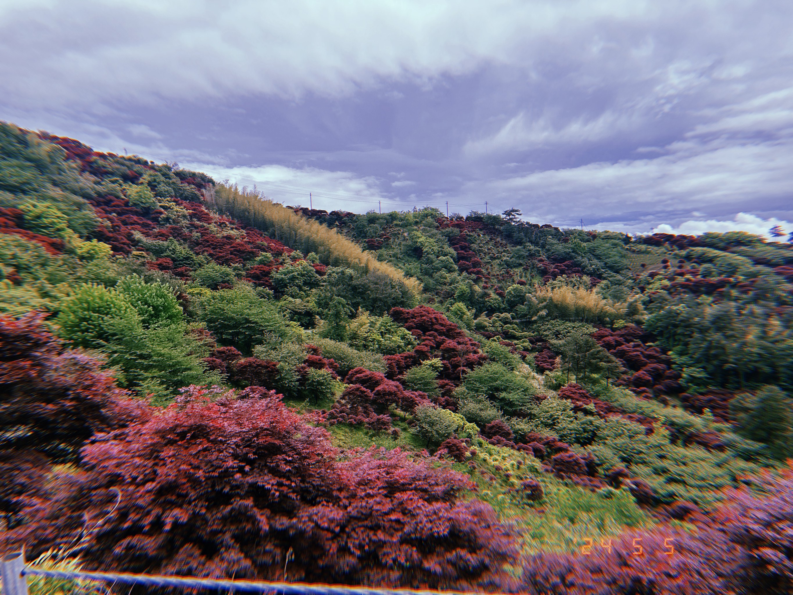 宁波四明山风景区图片