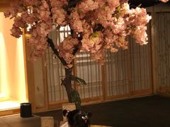 -汉宫汤泉汗蒸洗浴(五四广场店)