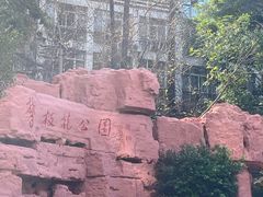 -攀枝花公园