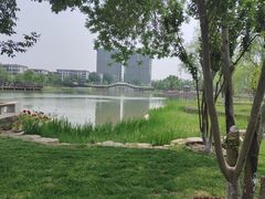 -西海子公园