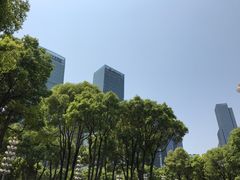 -重庆市江北嘴中央商务区中央公园