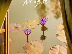 -白鹭湾湿地公园