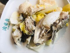 -淘米捞·米汤脆鲩鱼火锅(福田皇岗店)