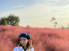 -汉长安城未央宫国家考古遗址公园