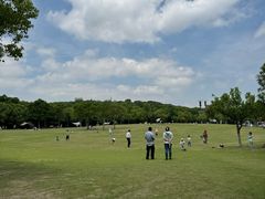 -上海吴淞炮台湾国家湿地公园