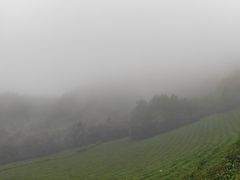 -敬亭山风景名胜区