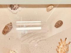 -珠海怡景湾大酒店