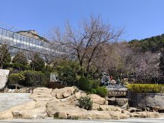 -石老人观光园