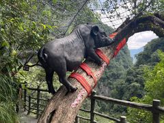 -蝶舞清江·恩施地心谷景区