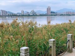 -江心屿景区