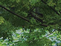 -盘龙城遗址博物院