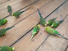 -南宫五洲植物乐园