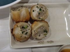 -咬不得高祖生煎·简餐(天城商业中心店)