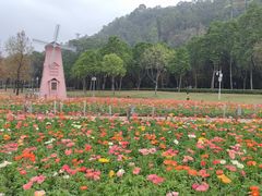 -顺峰山公园