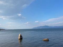 -洱海月湿地公园