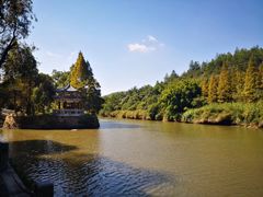 -九鲤湖风景区