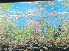 -海合安天津极地海洋公园
