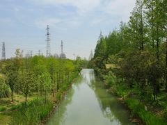 -上海长兴岛郊野公园