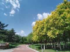 -莫子山公园