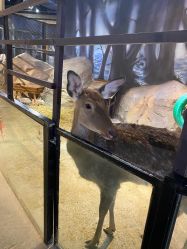 -酷嗒动物文化乐园(cutezoo西溪乐天城店)