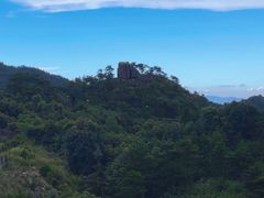 -玉苍山国家森林公园