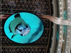 -新世界大丸百货