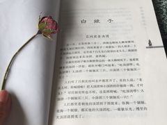 -湖畔居茶楼(湖滨店)