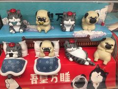 -酷乐潮玩(五道口购物中心店)