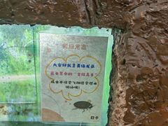 -上海大自然野生昆虫馆(东方明珠·爬宠昆虫探索中心)