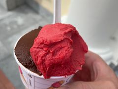 意大利手工冰淇淋-VENCHI 闻绮(上海佛罗伦萨小镇店)