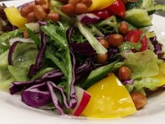 -大鸭梨烤鸭店(金顶街店)