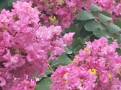 -杭州城北体育公园