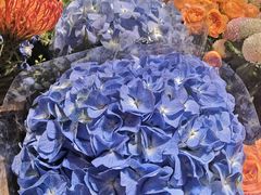 -爱尚幸福鲜花(上地实体店)