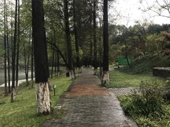 -常德桃花源景区