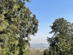 -香山公园