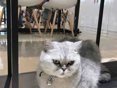 -Oasis绿洲银饰珍珠手作diy(壹方城店)
