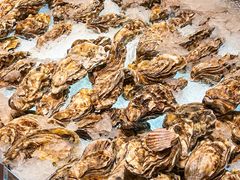 -广州粤海喜来登酒店