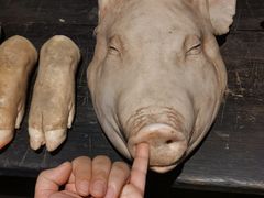 -和平菓局(王府井店)