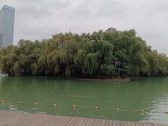 -天鹅湖体育公园