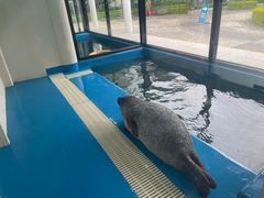 -厦门海底世界