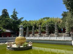 -泰山风景名胜区-普照寺