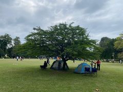 -华南国家植物园-售票处