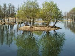 -贡湖湾湿地公园