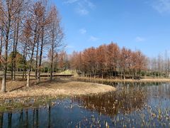 -长广溪湿地公园