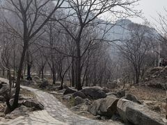 -大岭沟猕猴桃谷风景区