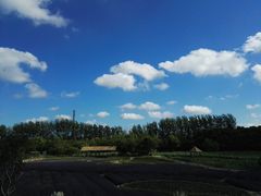 -锦堂中餐厅