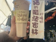 -猫的魔法密林(衣裳街店)