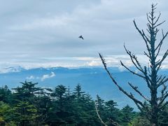 -峨眉山风景名胜区