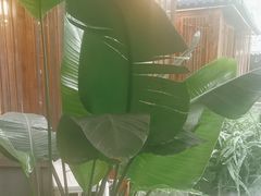 -大妙火锅·非物质文化遗产(东湖公园店)