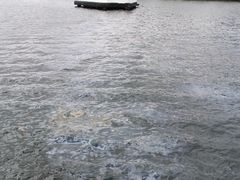 -珍珠港国家纪念馆